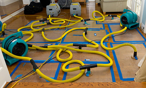 Professional Water Damage Repair technician working in Malta, IL